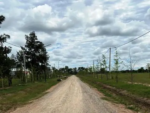 Terreno en Venta de 332,0 m2