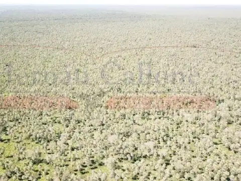 EXCELENTE CAMPO GANADERO DE 14.000 HAS EN PATIÑO, FORMOSA