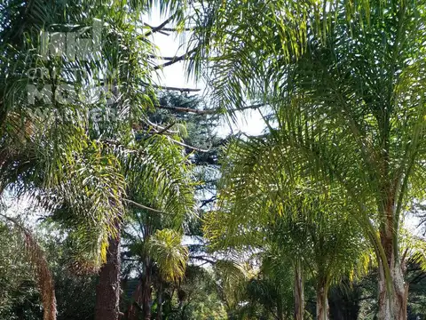 Casa en Venta 7 años