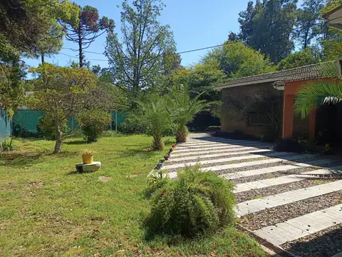 ALGARROBOS 1800