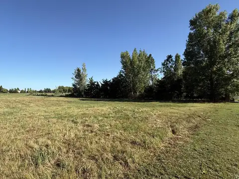 Terreno Interno en Haras El Malacate - 47