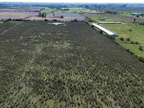Vendo Campo 12 Has en Colonia Caseros Entre Ríos