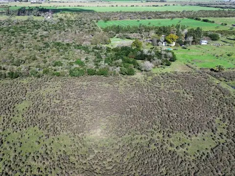 Campo en Venta de 12  ha