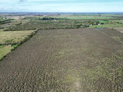 Vendo Campo 12 Has en Colonia Caseros Entre Ríos