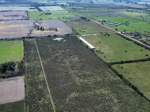 Campo en Venta de 12  ha