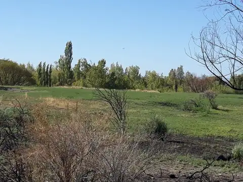 Vendo hectáreas con costa al Rio en Arroyito