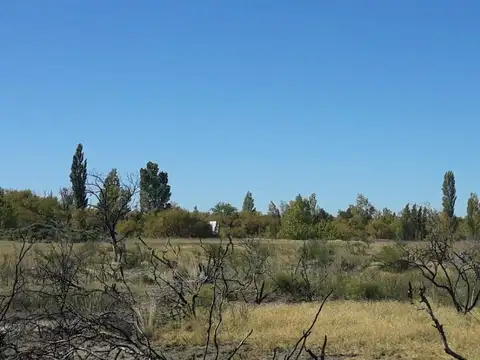 Vendo hectáreas con costa al Rio en Arroyito