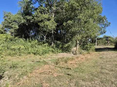 Terreno en Venta 38  mts Fondo