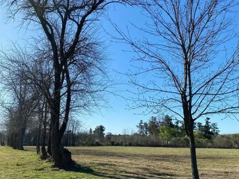 Terreno en Venta de 2000,0 m2