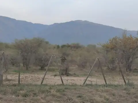 Lote de 1500 metros en Los Molles 