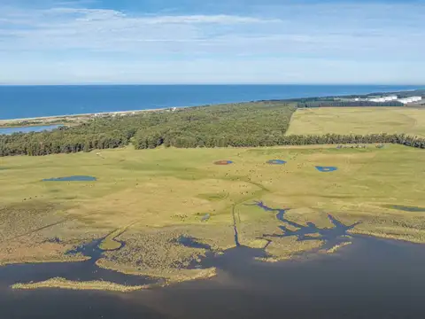 Campo en Venta de 15  ha