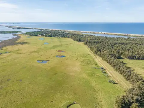 Chacra en venta de 15 Has. sobre Laguna José Ignacio 100