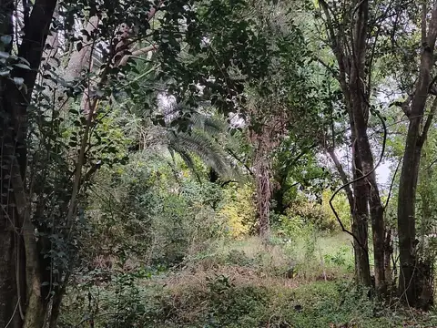Campo en Venta de 2  ha