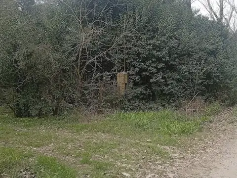 Campo en Venta de 2  ha