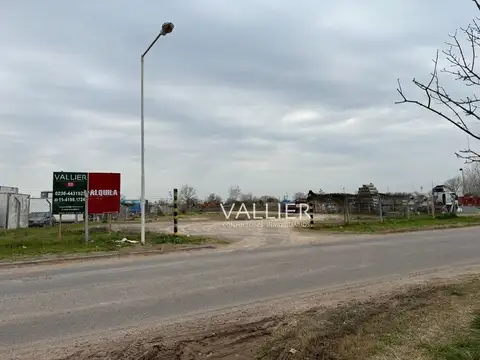 Terreno en Alquiler, FOT 0,8