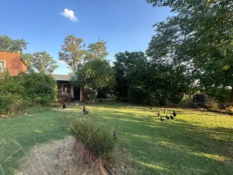 Venta -  Venta Chacra de 12,5 Ha con Casa - Zona Las Chacras - Lobos