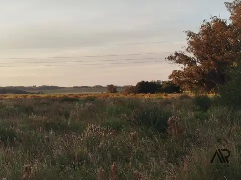 Ruta 9, La Vieja
