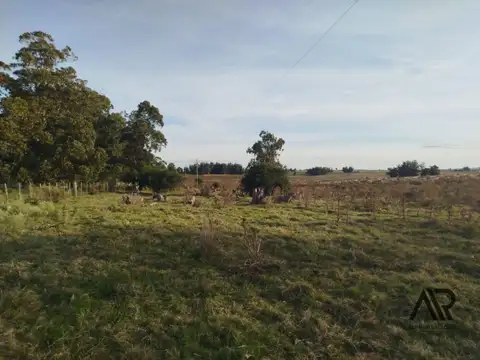 Ruta 9, La Vieja