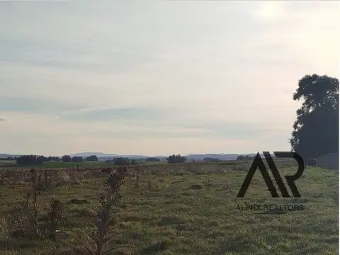 Ruta 9, La Vieja