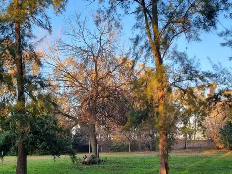 EL ROCIO 2600