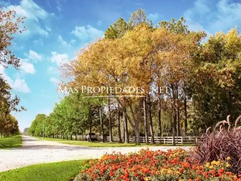 Terreno en Venta en Fincas de San Vicente, USD 38.000