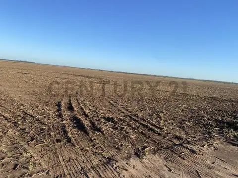 Campo mixto en venta sobre Ruta Provincial N°14 y Ruta A012