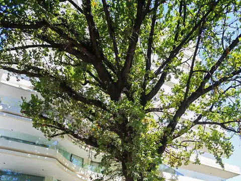 Departamento en Alquiler de 3 dormitorios