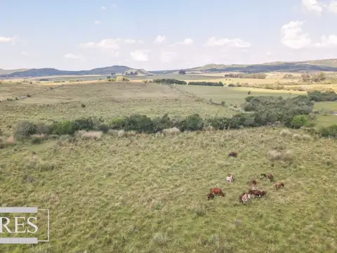 Venta de campo 29 ha con casa en Paso Dutra Maldonado