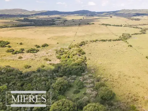 Venta de campo 29 ha con casa en Paso Dutra Maldonado