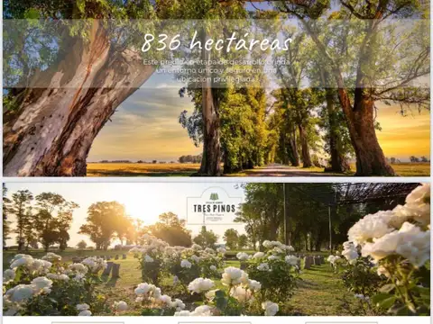 Terreno en Venta de 1000,0 m2