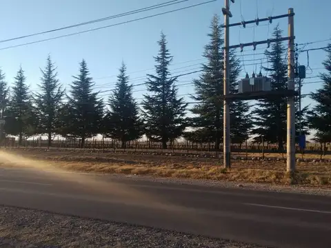 LOTE EN VENTA LA CONSULTA,SAN CARLOS VALLE DE UCO