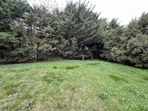 Terreno en Venta de 791,0 m2