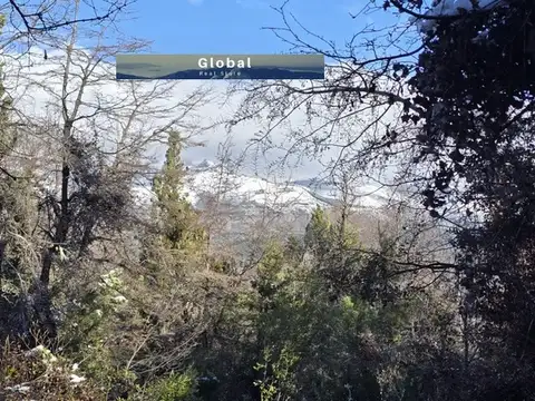 FRACCIÓN DE 7 Has SAN MARTÍN DE LOS ANDES, PATAGONIA ARGENTINA