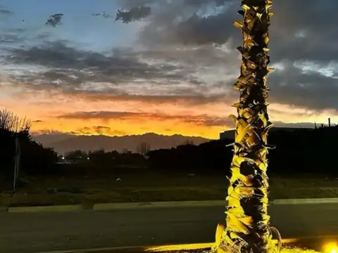 Exclusivos Lotes PREMIUM B Priv Carrascal Lunlunta