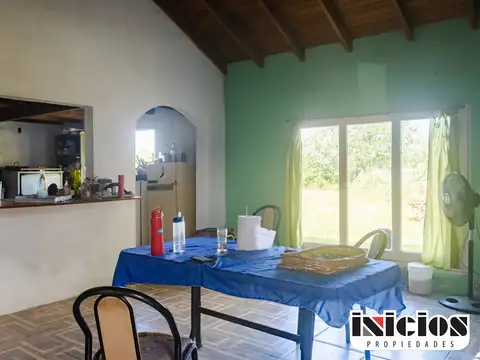 FRONDIZI 100
