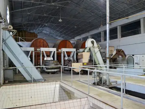 VENTA BODEGA JURI, SAN RAFAEL MENDOZA