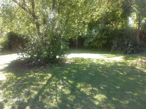 Alfredo Bernardo Nobel 3200