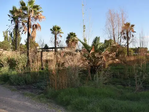Terreno en Venta de 1000,0 m2