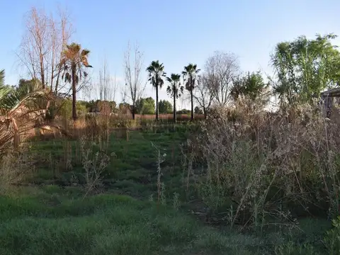 SILVANO RODRIGUEZ 2200, Piso 0
