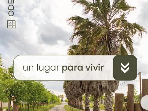 Terreno en Venta 40  mts Frente