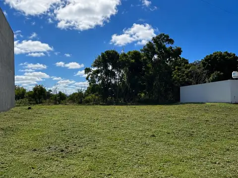 TERRENO EN VENTA MONTE , LOS PINOS SOBRE RN3