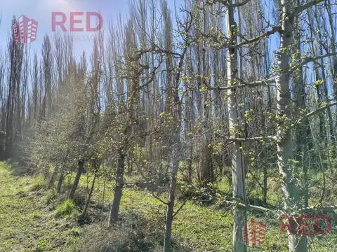 Terreno en Venta de 10925,0 m2