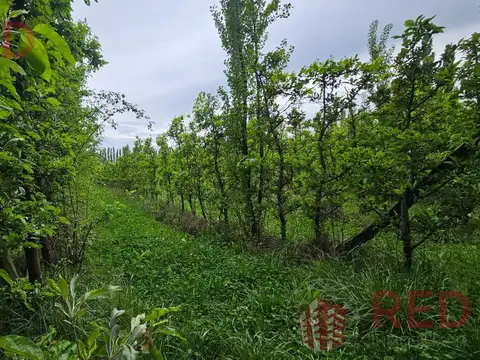 Terreno en Venta de 10925,0 m2