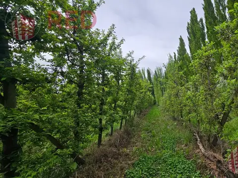 Terreno en Vista Alegre Sur