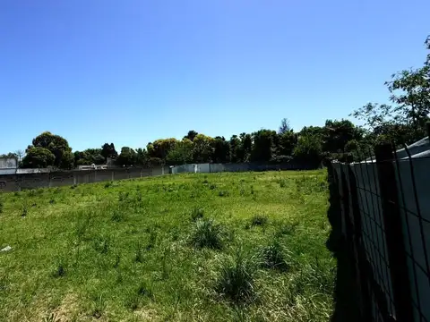 Terreno en Alquiler de 1568,0 m2