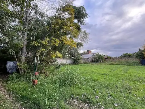 Terreno en Venta de 300,0 m2