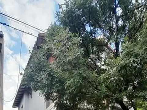 SANTA MARIA DE ORO 400