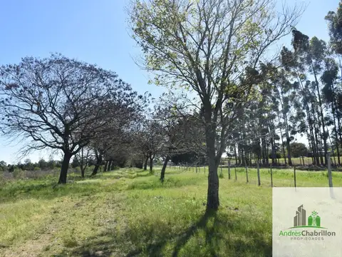 Gualeguay y Mario R. Bordagaray 100