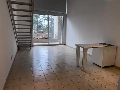 los crisantemos  al 400