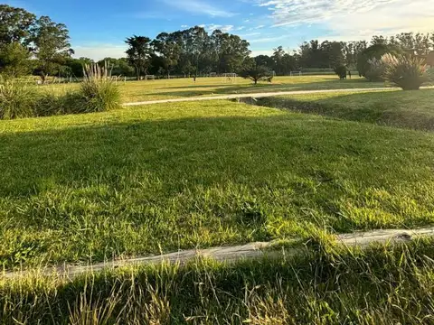 Terreno en Venta de 872,0 m2